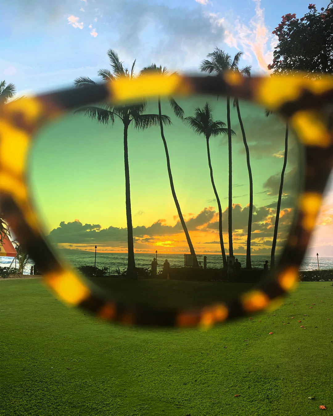 Happy Hour Has Arrived