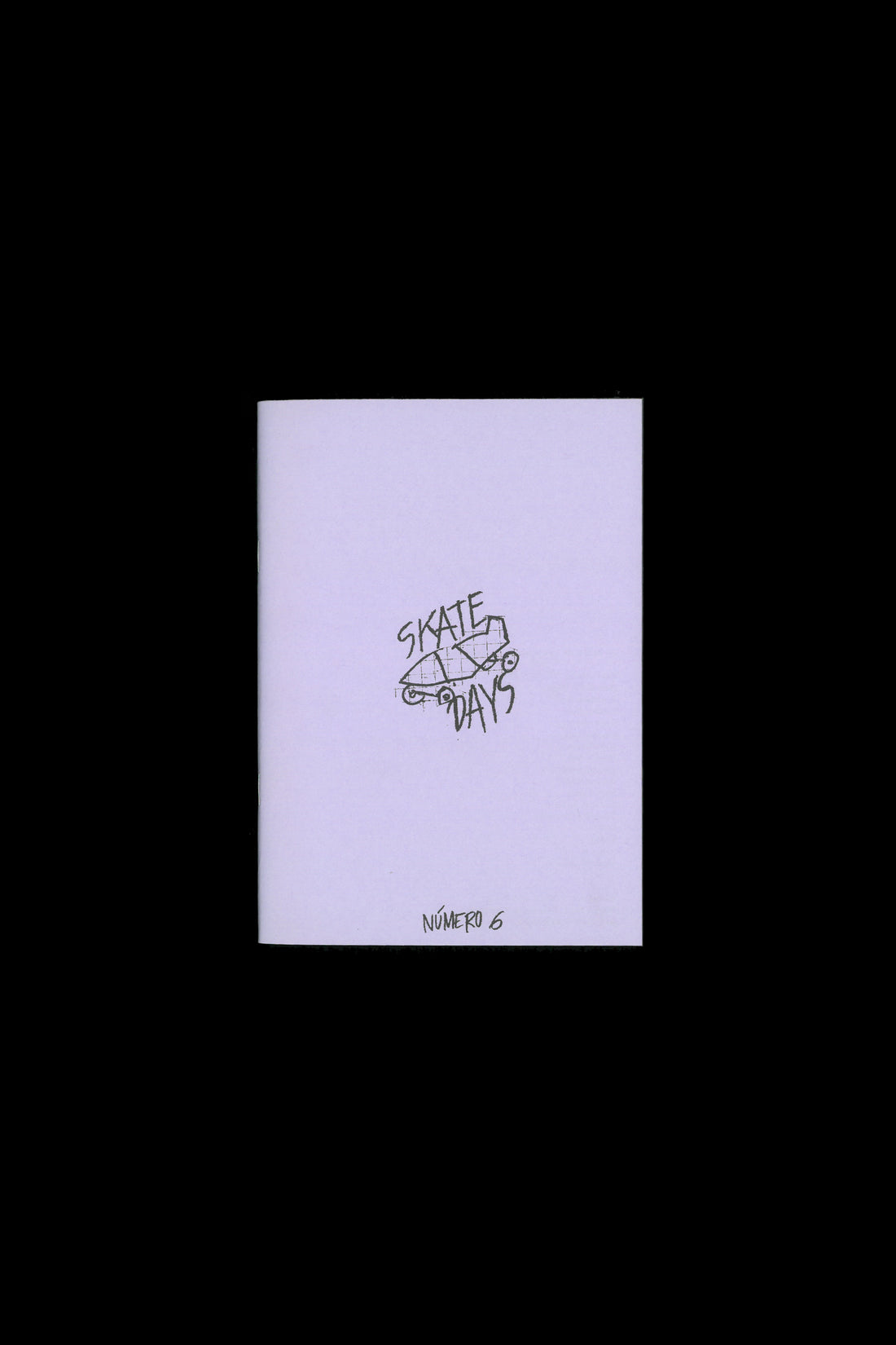 "SKATE DAYS" ZINE