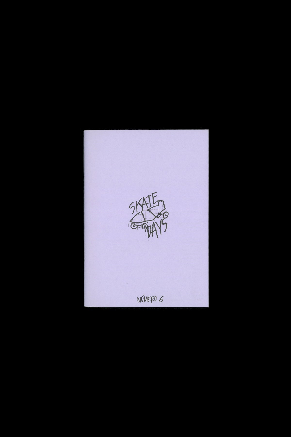 "SKATE DAYS" ZINE