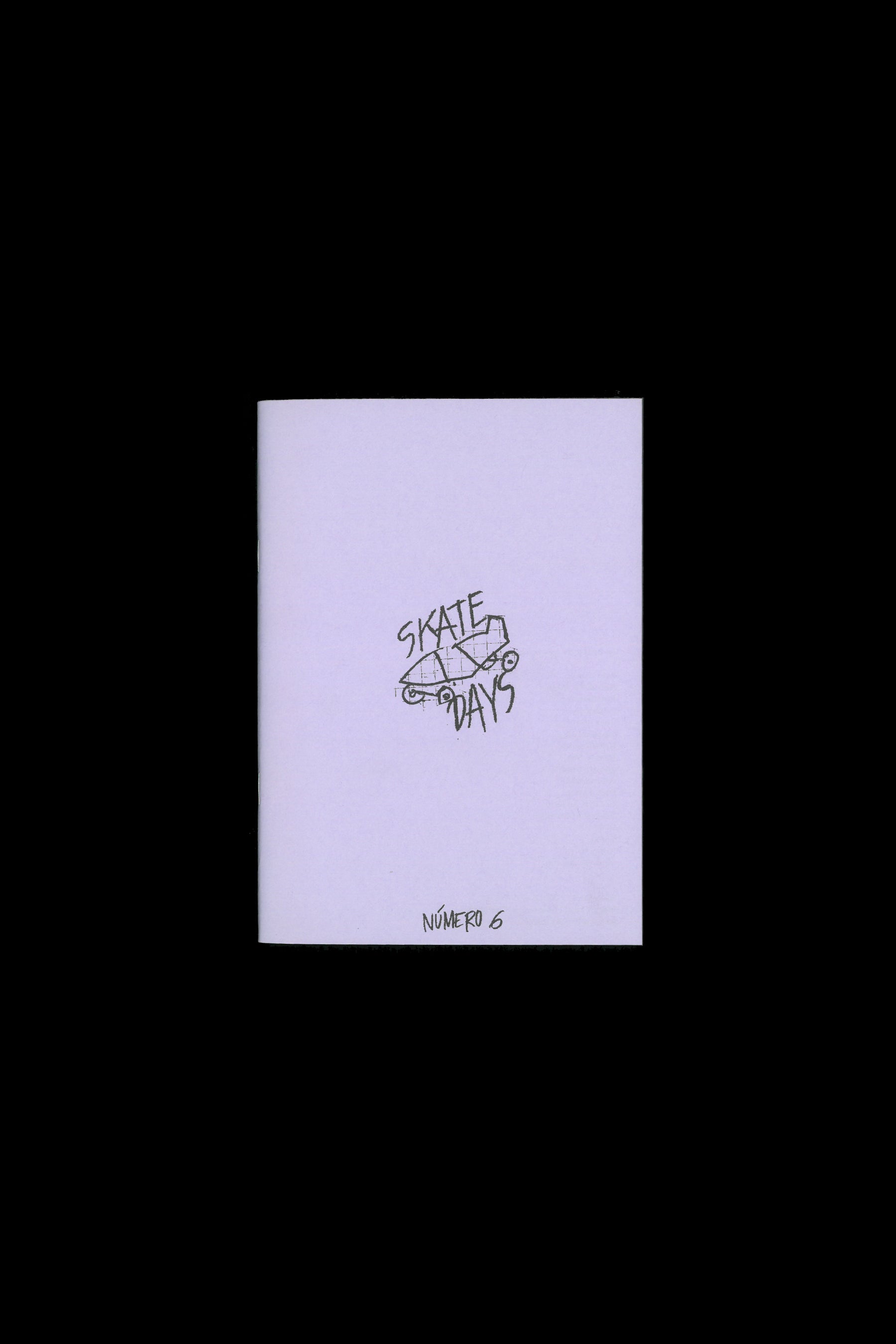 "SKATE DAYS" ZINE