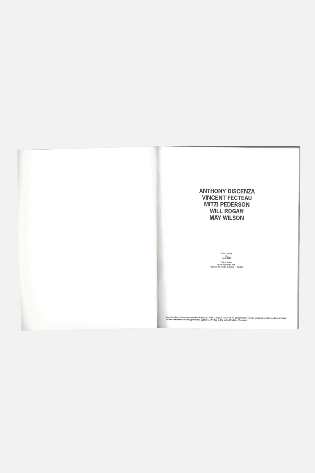 Colpa Press The Riso Book : San Francisco Publication Studio Oakland, Kadist