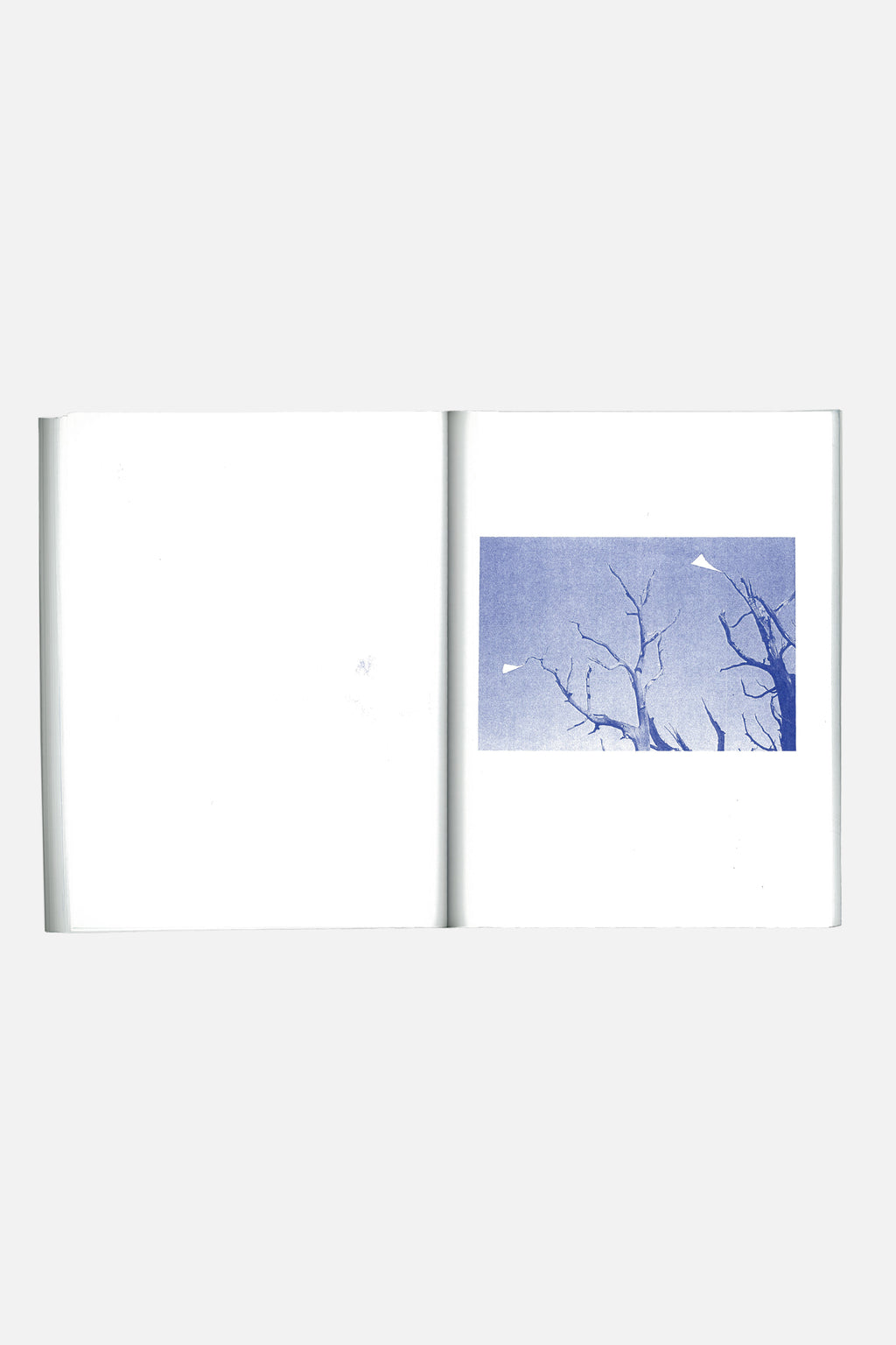 Colpa Press The Riso Book : San Francisco Publication Studio Oakland, Kadist