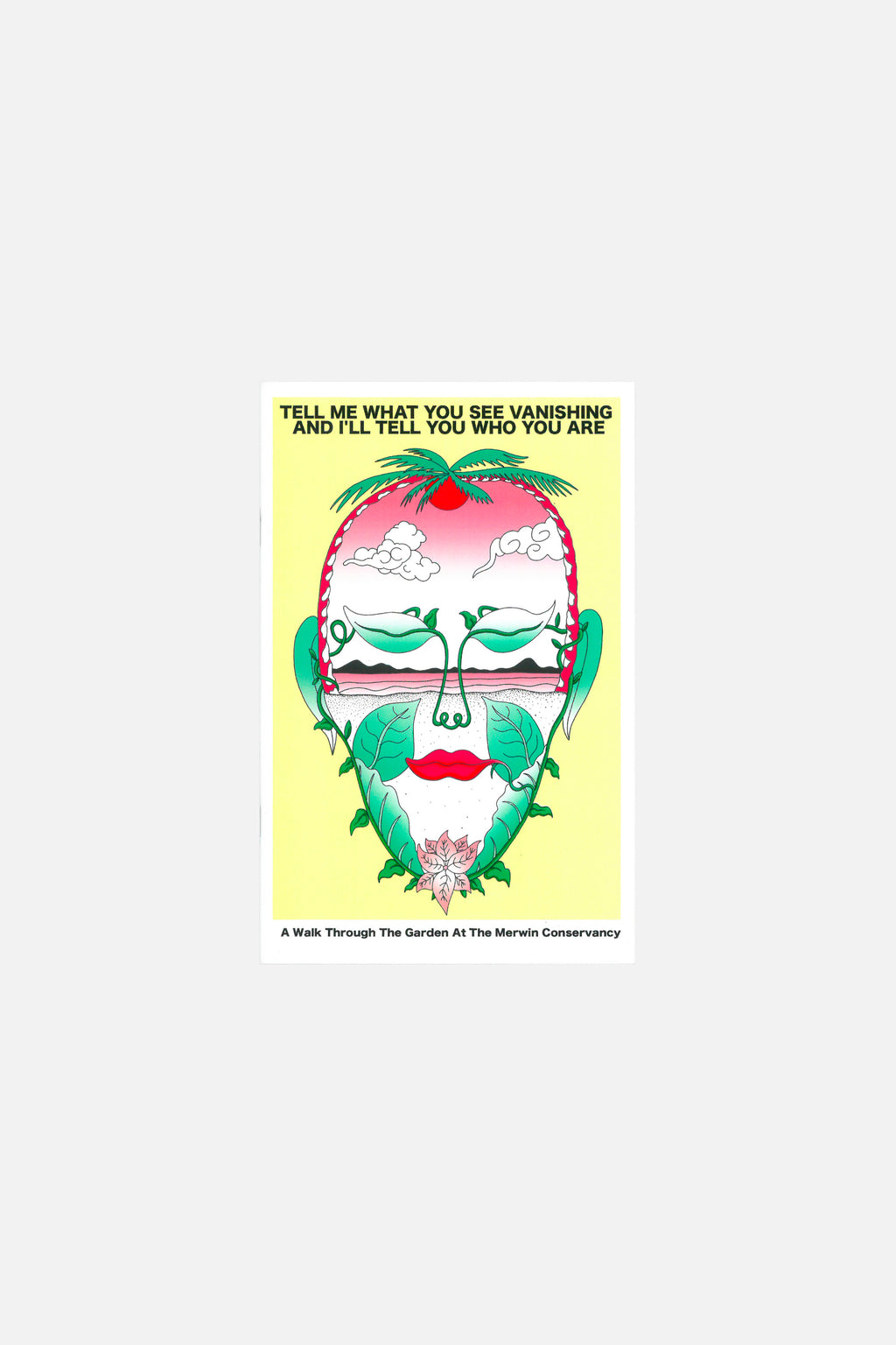 Dale ZIne Tell me What You See Vanishing And... - Dave Landsberger アートブック