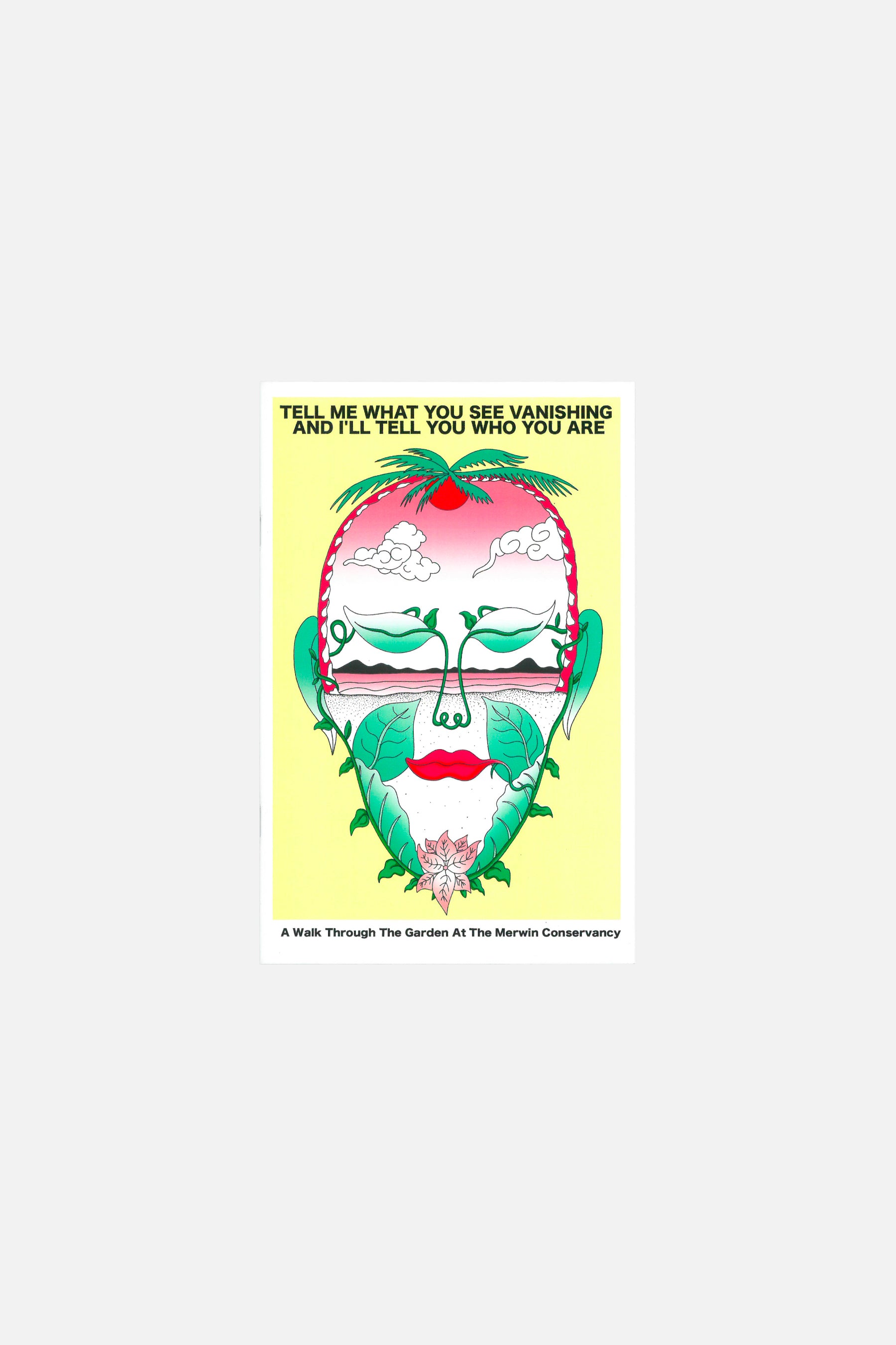 Dale ZIne Tell me What You See Vanishing And... - Dave Landsberger アートブック