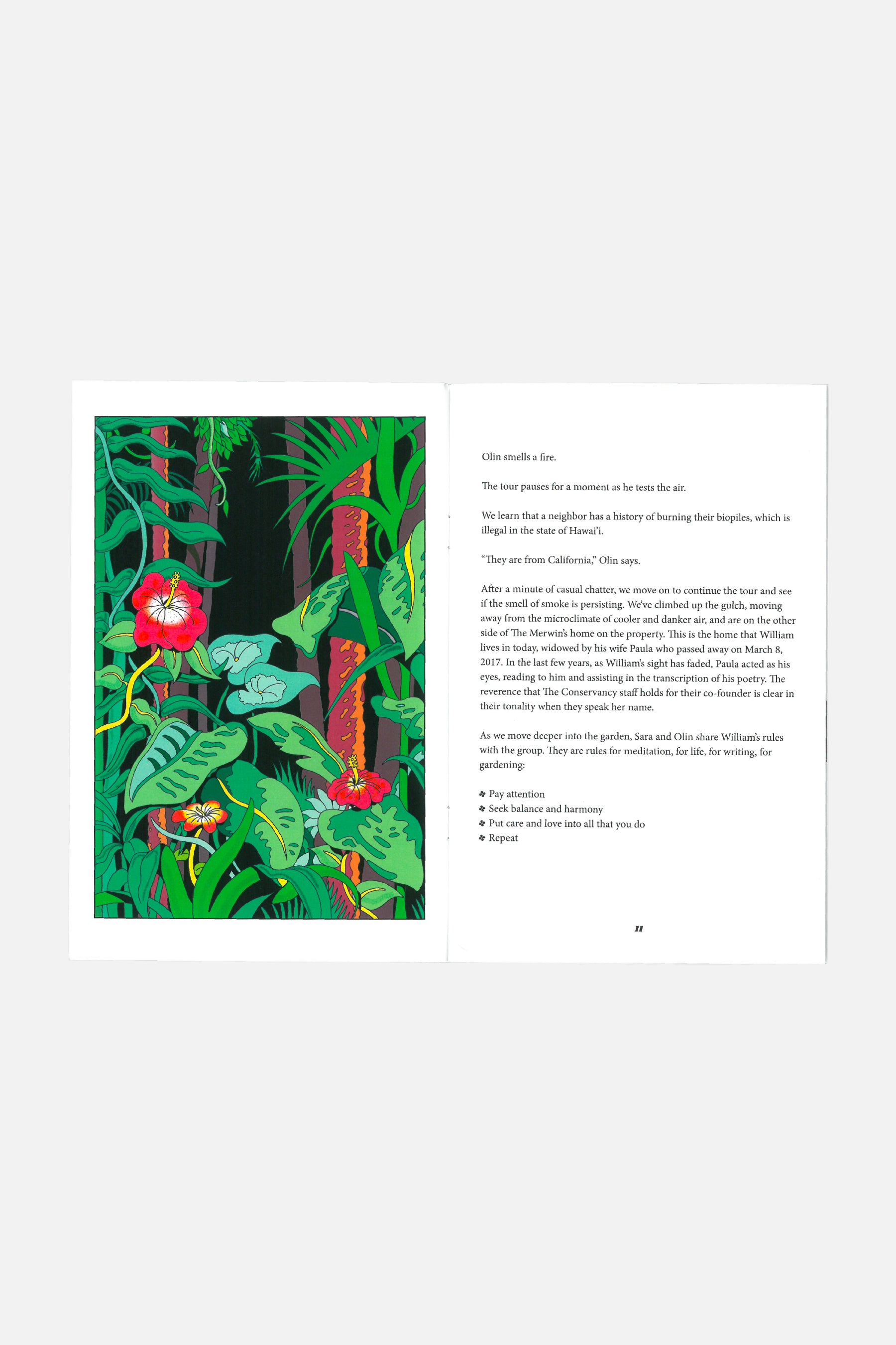 Dale ZIne Tell me What You See Vanishing And... - Dave Landsberger アートブック