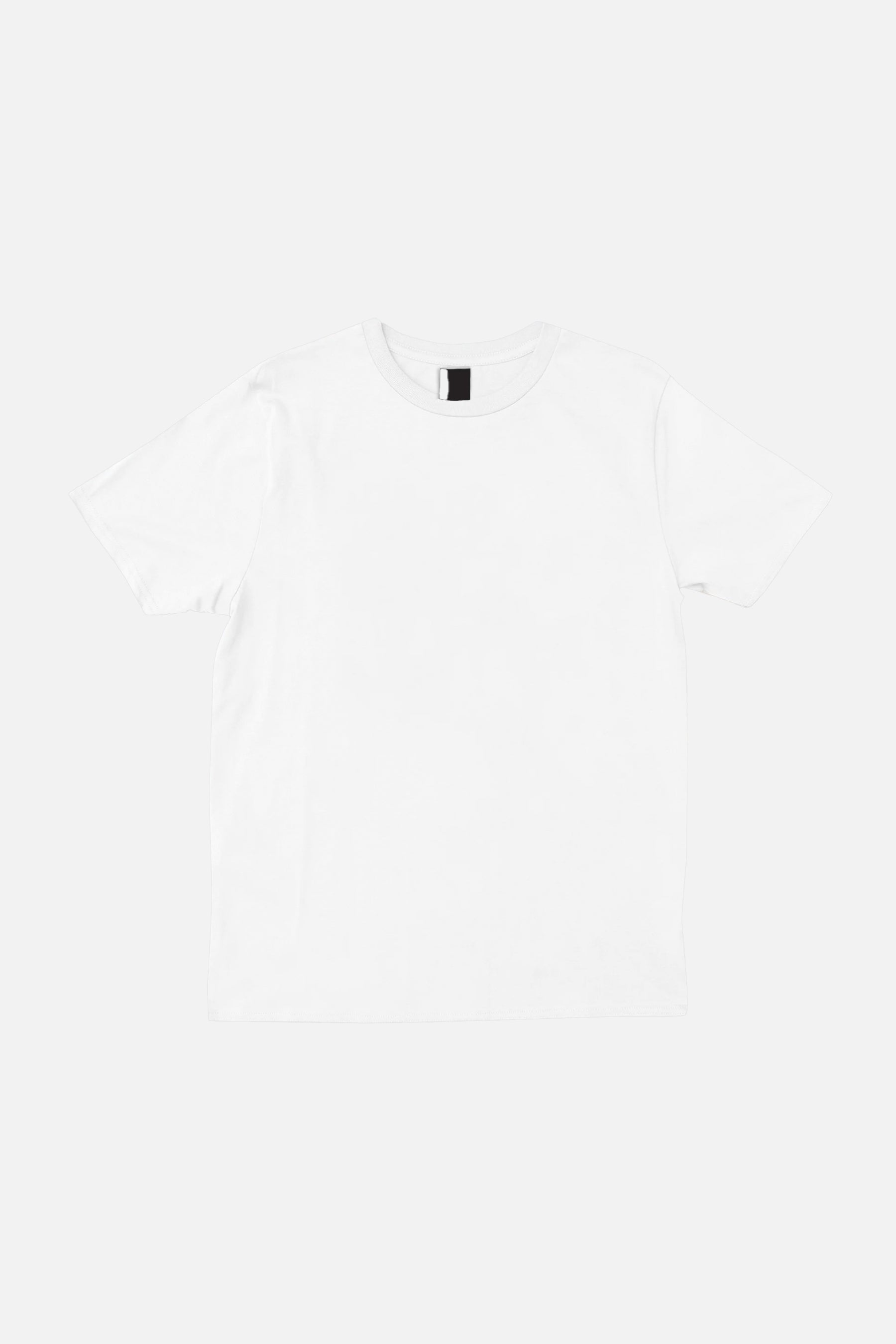 Fed Stone Skate Hardcore DQ Tee Tシャツ POOLSKATE TEE プールコーピング